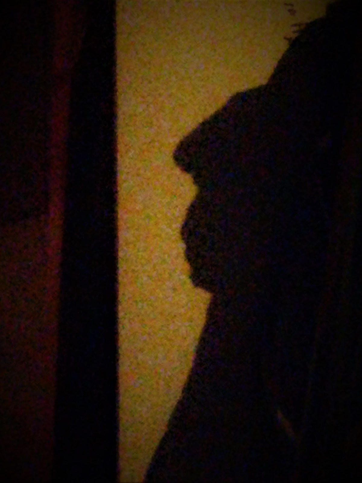 How Many Shades is your&nbsp;world