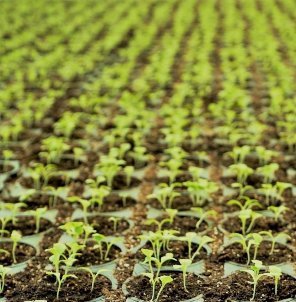 Everyone Has A&nbsp;Viewpoint