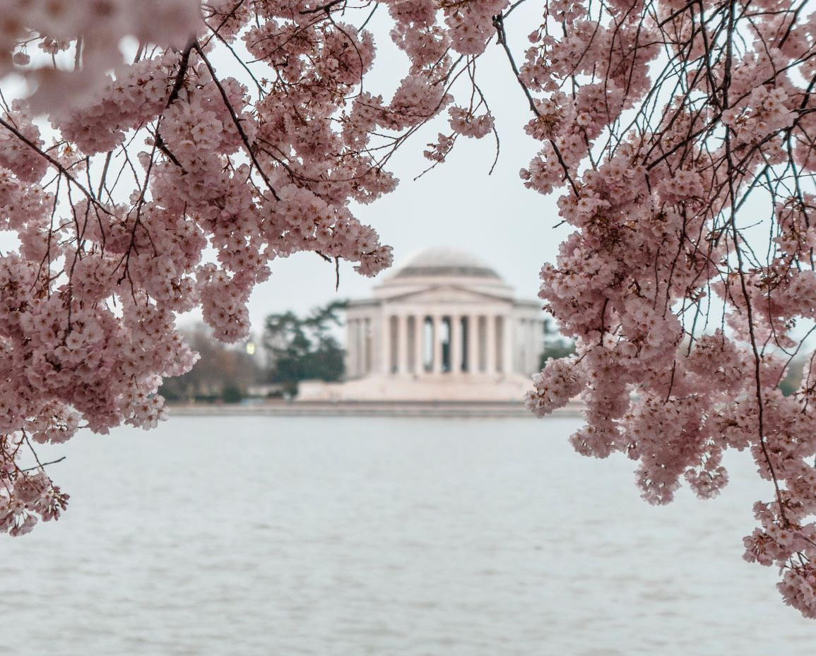 memorial Day kyler-boone-1491183-unsplash