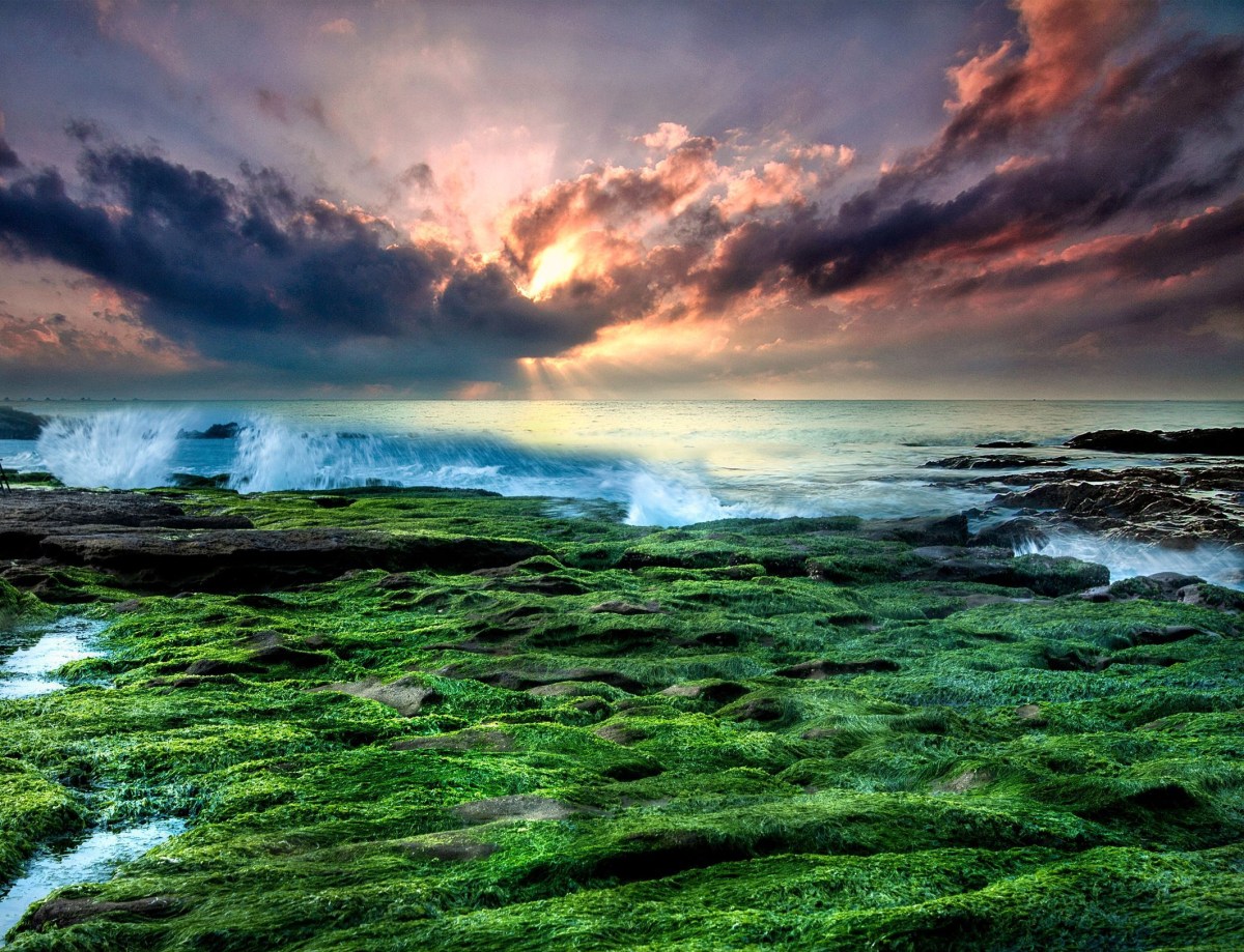 free sunset arnie-chou-8fJcEkYjfis-unsplash