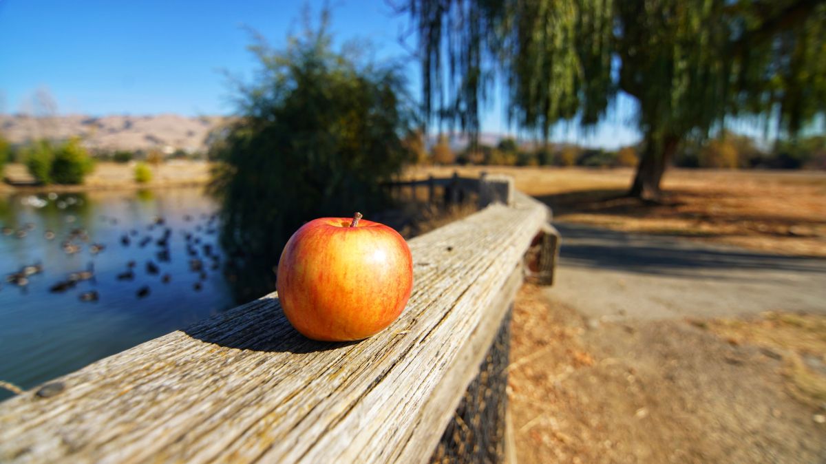 c-drying-NDmmclr24Ds-unsplash