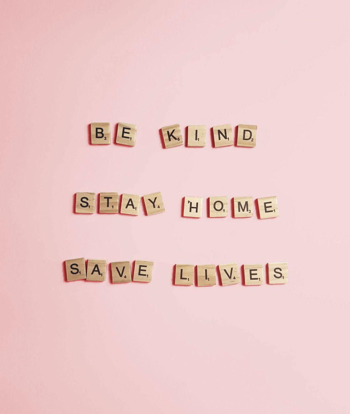 mish-vizesi-d8pxzkJRQ7I-unsplash