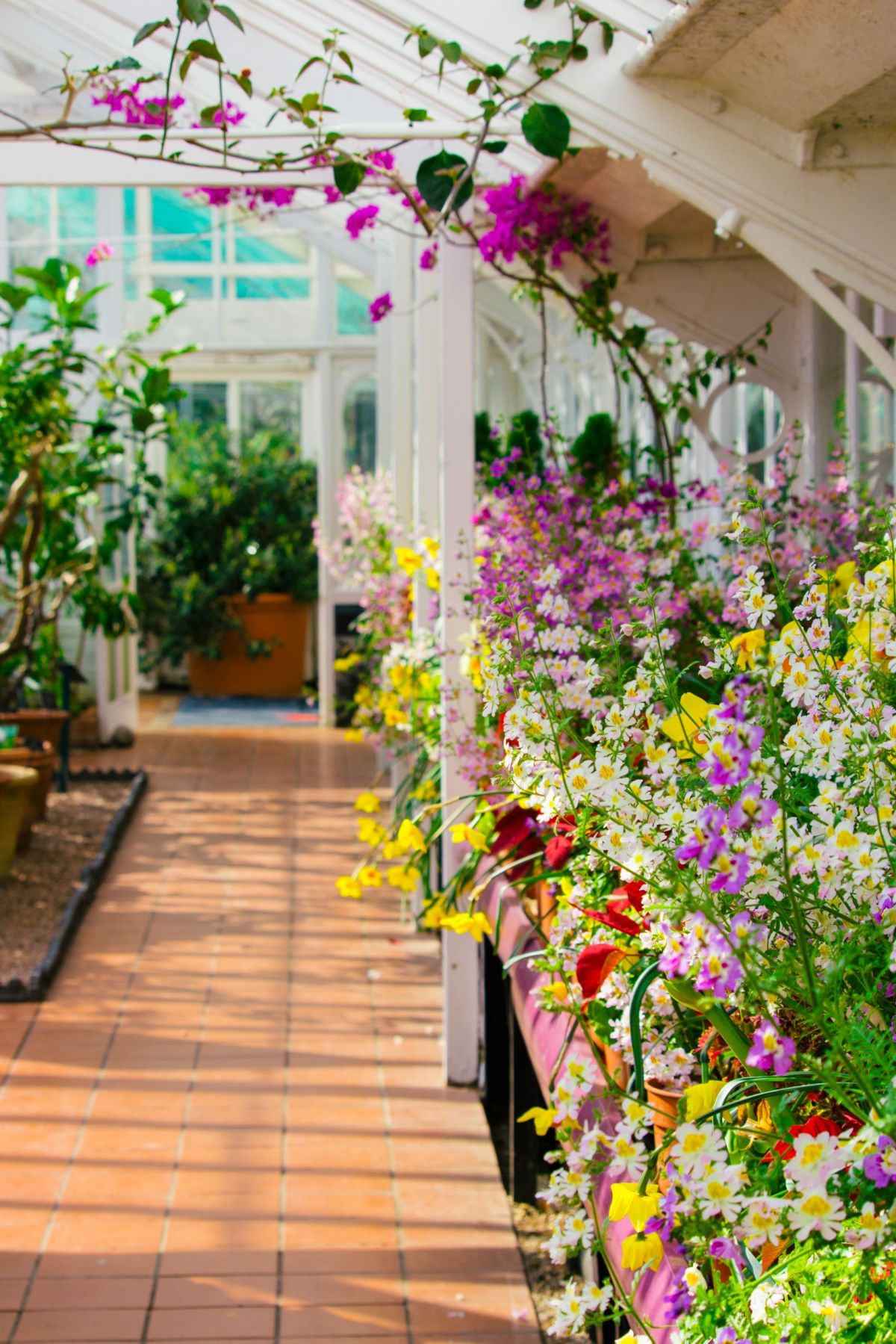 alex-holyoake--7T8ESfMviM-unsplash